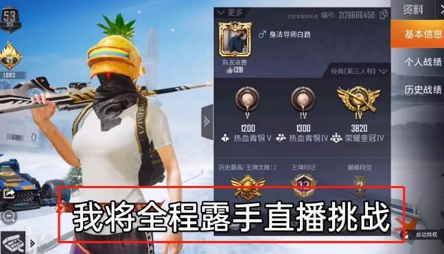 和平精英苹果IOS辅助【暗影】免越狱免签名