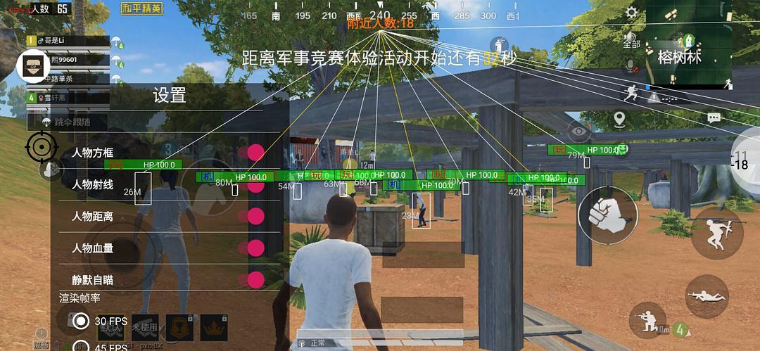 和平精英98k耀虎外挂