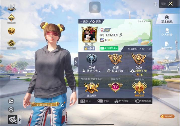 和平精英外挂【啊零直装V1.0】人物绘制透视 掩体子弹追踪 预判自瞄扫车  内透人物上色 全部枪械美化